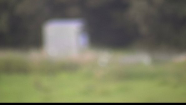 capture-2-23-07-31_20-31-48-55