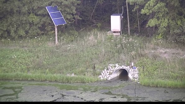 capture-3-23-07-31_20-29-46-46