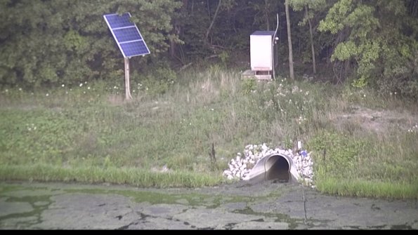 capture-3-23-07-31_20-31-56-49