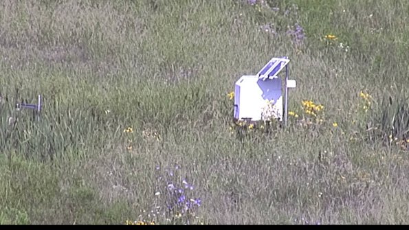 capture-4-23-07-31_10-05-35-01