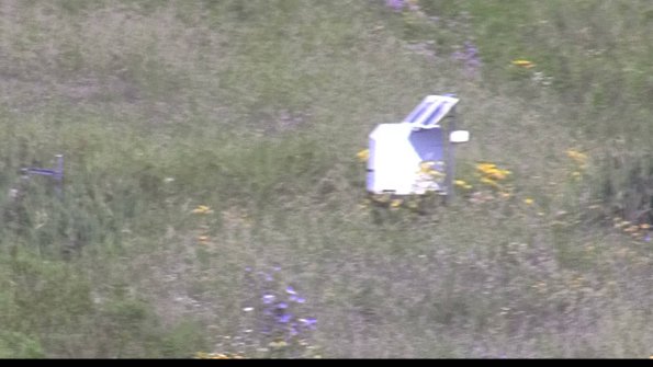 capture-4-23-07-31_10-51-05-05