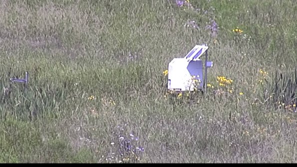 capture-4-23-07-31_11-38-45-22