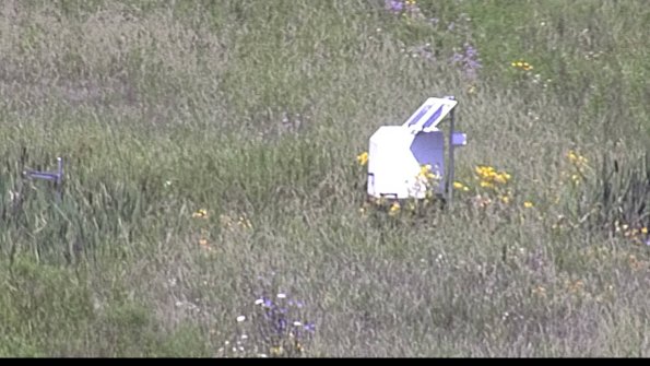 capture-4-23-07-31_11-40-54-45