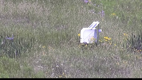 capture-4-23-07-31_13-13-25-13