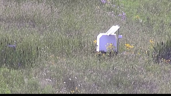 capture-4-23-07-31_15-36-51-31