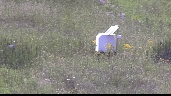 capture-4-23-07-31_15-39-01-44