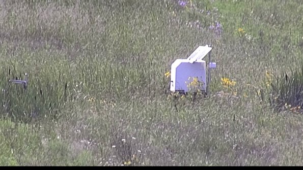 capture-4-23-07-31_15-41-12-27