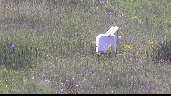 capture-4-23-07-31_15-47-41-50