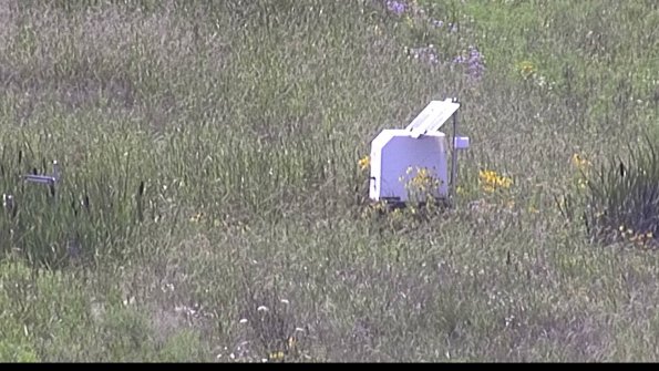 capture-4-23-07-31_16-00-42-32