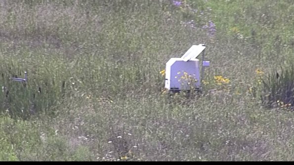 capture-4-23-07-31_16-07-11-54