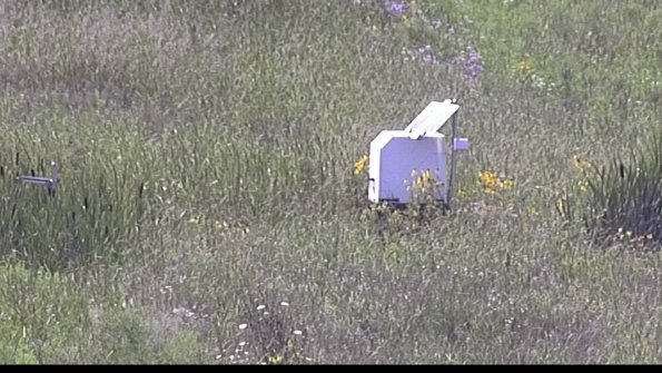 capture-4-23-07-31_16-09-21-37