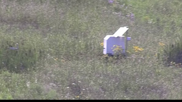 capture-4-23-07-31_16-57-01-38