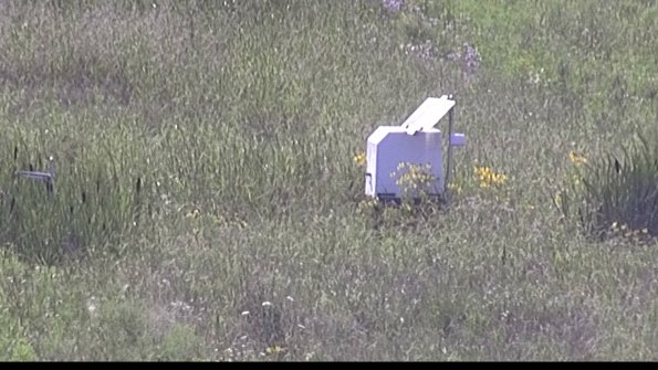 capture-4-23-07-31_16-59-11-37