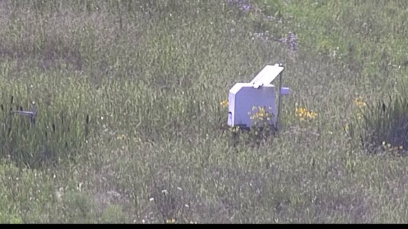 capture-4-23-07-31_17-23-01-67