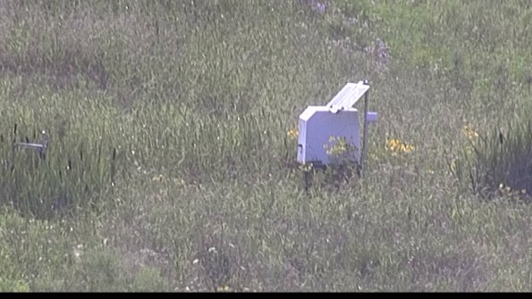 capture-4-23-07-31_17-57-41-46