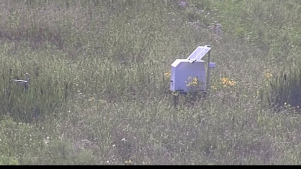 capture-4-23-07-31_18-17-11-54