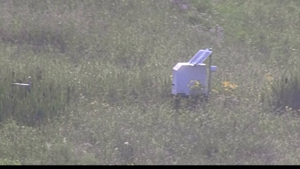 capture-4-23-07-31_18-43-11-50