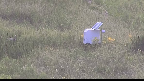 capture-4-23-07-31_19-55-17-55