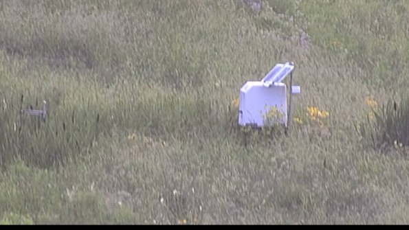 capture-4-23-07-31_20-08-17-63