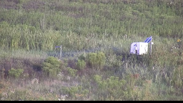 capture-5-23-07-31_07-26-23-24