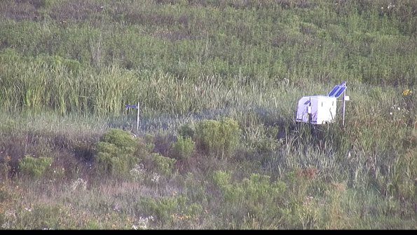 capture-5-23-07-31_07-28-34-24