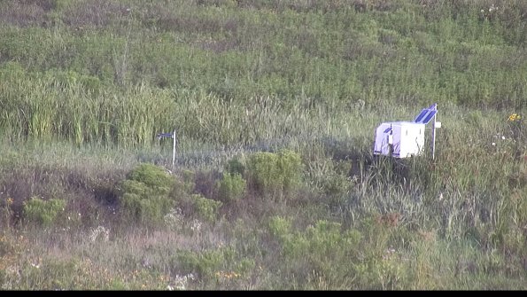 capture-5-23-07-31_07-41-33-19