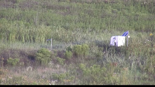 capture-5-23-07-31_07-43-43-29