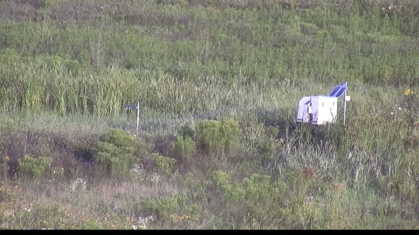 capture-5-23-07-31_07-45-53-22