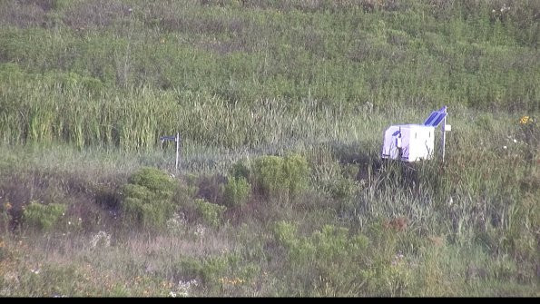 capture-5-23-07-31_07-52-24-31