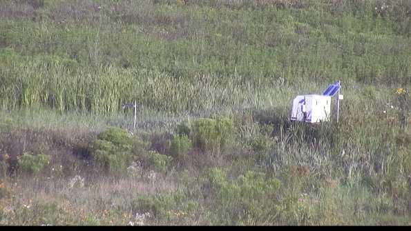 capture-5-23-07-31_07-54-34-20