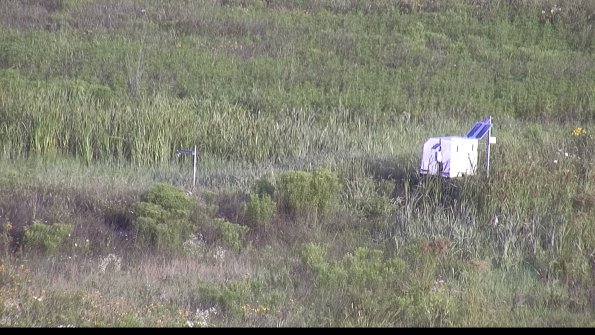 capture-5-23-07-31_07-56-43-20