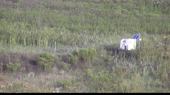 capture-5-23-07-31_07-58-53-30