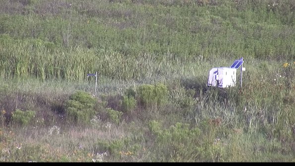 capture-5-23-07-31_08-01-03-33