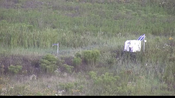 capture-5-23-07-31_08-11-53-18