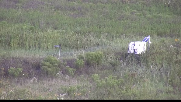 capture-5-23-07-31_08-16-13-24