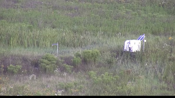 capture-5-23-07-31_08-31-23-29