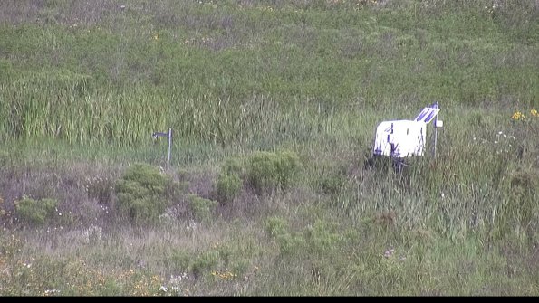 capture-5-23-07-31_10-14-24-84