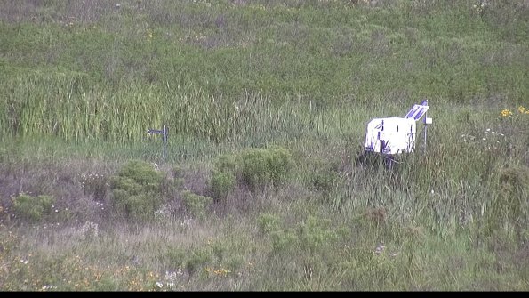 capture-5-23-07-31_10-23-05-13