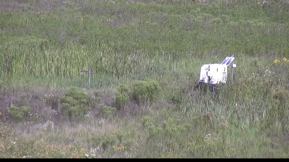 capture-5-23-07-31_10-29-34-69