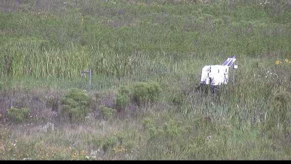 capture-5-23-07-31_10-33-53-82