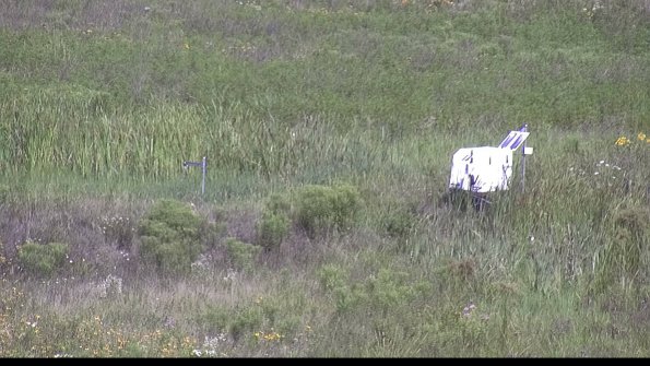 capture-5-23-07-31_10-42-33-70