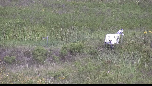 capture-5-23-07-31_11-06-25-11