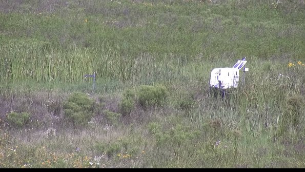 capture-5-23-07-31_11-10-45-01