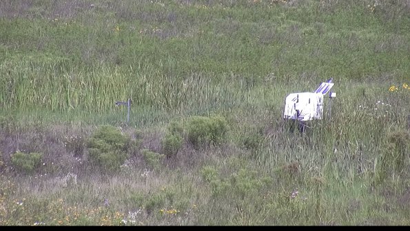 capture-5-23-07-31_11-17-14-93