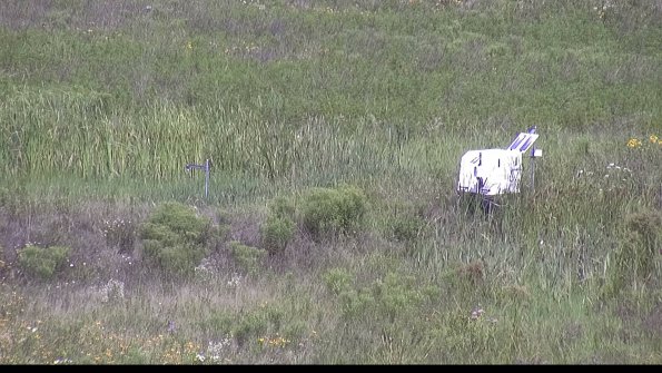 capture-5-23-07-31_11-19-24-96