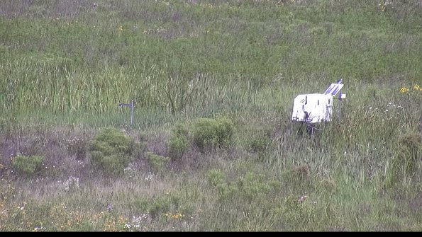 capture-5-23-07-31_11-30-19-35