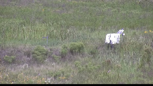 capture-5-23-07-31_11-32-24-81