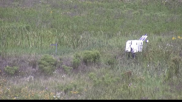 capture-5-23-07-31_11-36-44-34