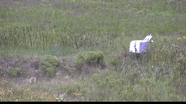 capture-5-23-07-31_13-00-33-19