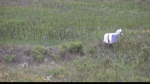 capture-5-23-07-31_13-13-32-51